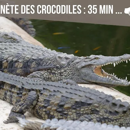 Grand 4 En Face Du Chu Et De L'universite De - Acces Rapide Futuroscope En 15 Min Poitiers