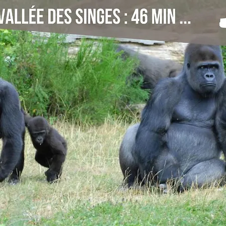 Accommodatie bij particulieren Grand 4 En Face Du Chu Et De L'universite De - Acces Rapide Futuroscope En 15 Min Poitiers