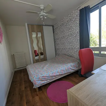 Grand Appartement 3 Chambres Chez L'Habitant En Face Du Chu Et De L'Universite De Poitiers - Acces Rapide Futuroscope En 15 Min Homestay Poitiers