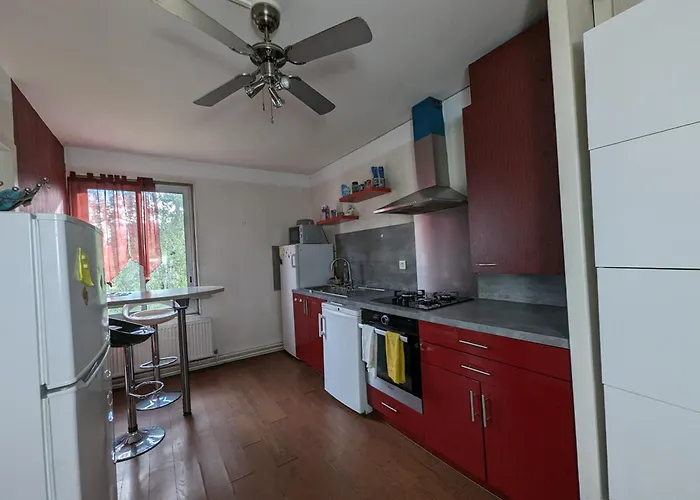 Grand Appartement 3 Chambres Chez L'Habitant En Face Du Chu Et De L'Universite De Poitiers - Acces Rapide Futuroscope En 15 Min * Poitiers