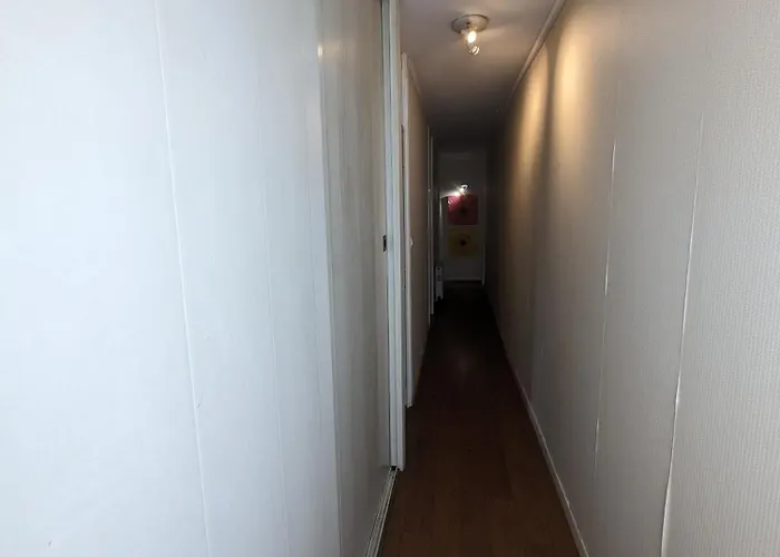 Homestay Grand Appartement 3 Chambres Chez L'Habitant En Face Du Chu Et De L'Universite De Poitiers - Acces Rapide Futuroscope En 15 Min *