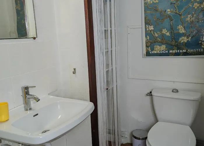 Grand Appartement 3 Chambres Chez L'Habitant En Face Du Chu Et De L'Universite De Poitiers - Acces Rapide Futuroscope En 15 Min Homestay Poitiers