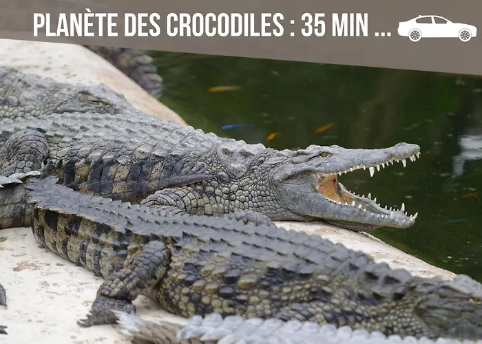 Grand 4 En Face Du Chu Et De L'universite De - Acces Rapide Futuroscope En 15 Min Poitiers