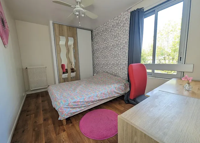 Grand 4 En Face Du Chu Et De L'universite De - Acces Rapide Futuroscope En 15 Min Homestay Poitiers