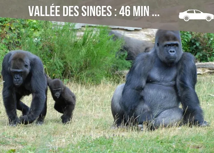 Homestay Grand 4 En Face Du Chu Et De L'universite De - Acces Rapide Futuroscope En 15 Min Poitiers