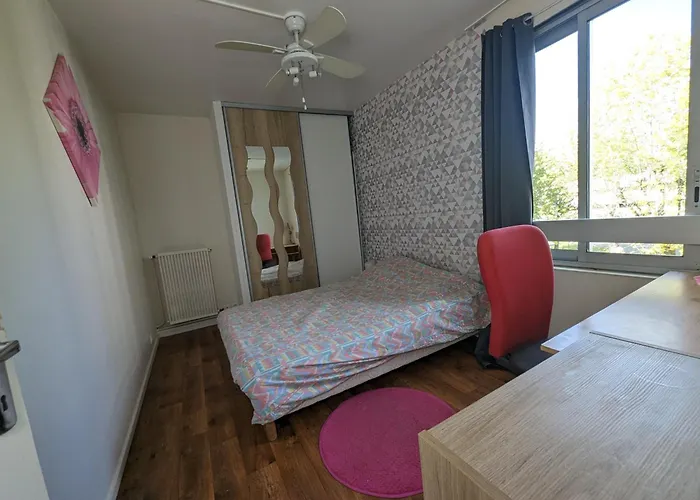 Grand 4 En Face Du Chu Et De L'universite De - Acces Rapide Futuroscope En 15 Min Homestay Poitiers